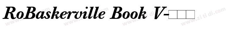 RoBaskerville Book V字体转换